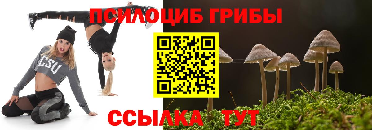 Псилоцибиновые грибы прущие грибы Люберцы